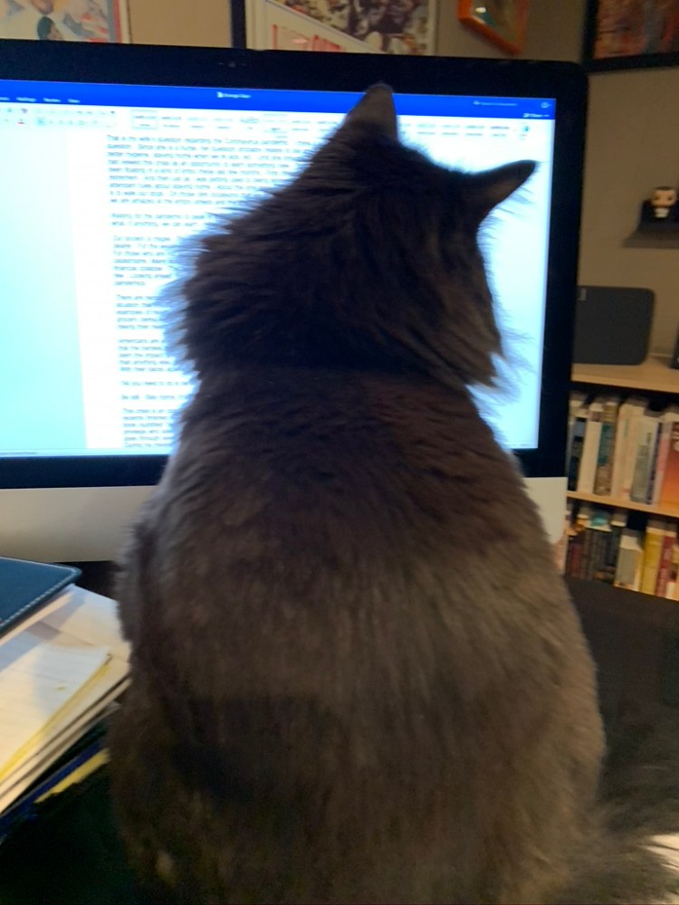 7FB10BA3-6215-4D37-B20B-B728E5ABF525_1_105_c